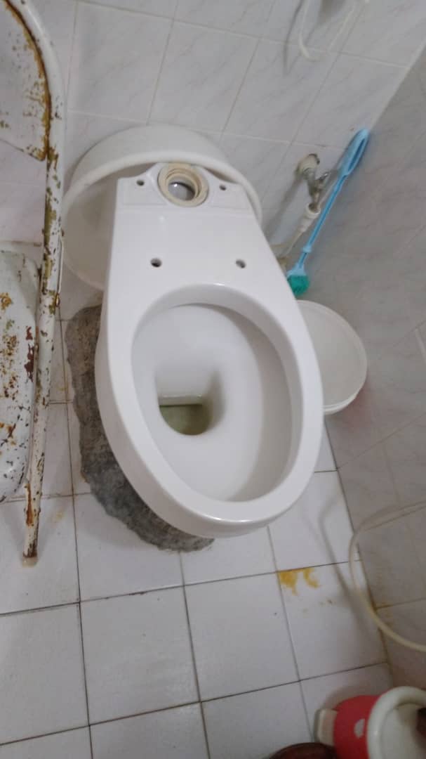 رفع گرفتگی توالت فرنگی